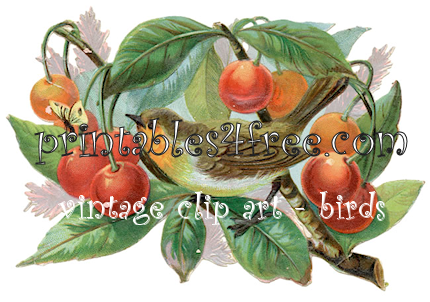 Vintage  free Clip art logo - birds